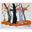 Malcolm De Chazal - paysage