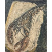 NONDA - Epaminondas PAPADOPOULOS - Homard