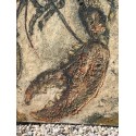 NONDA - Epaminondas PAPADOPOULOS - Homard
