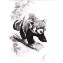 Le Funambule - le panda roux