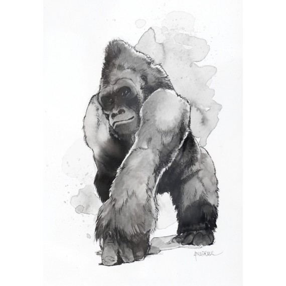 Solid on its feet - The gorilla