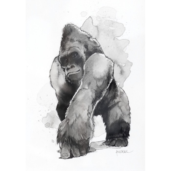 Solid on its feet - The gorilla