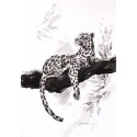 The Break - The Leopard