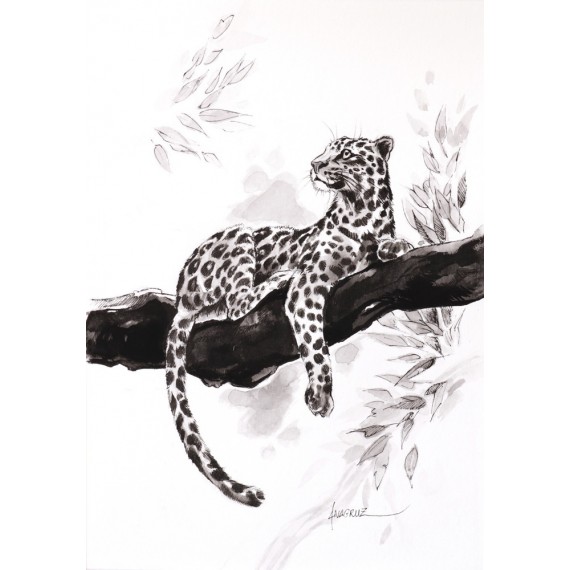 The Break - The Leopard