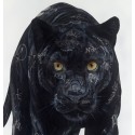 Limited Edition - Wild style - black panther