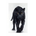 Limited Edition - Wild style - black panther