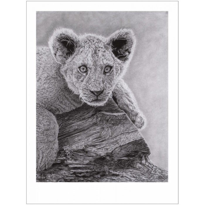 Édition limitée - LÉO