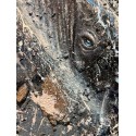 Baleine et baleineau