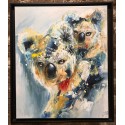 Koalas