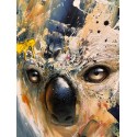 Koalas