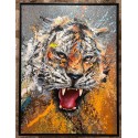 Tigre