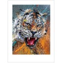 Limited Edition - Tigre