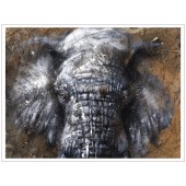 Limited Edition - ELEPHANT