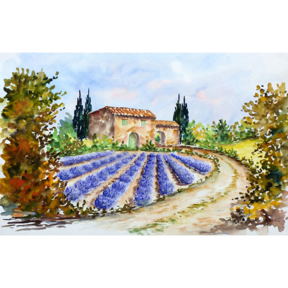 Un champs de lilas en provence