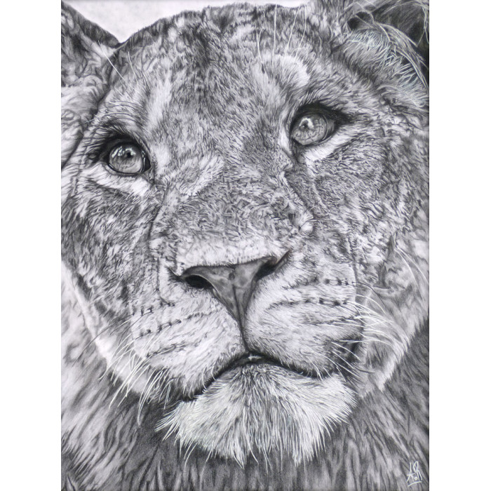 La lionne La lionne