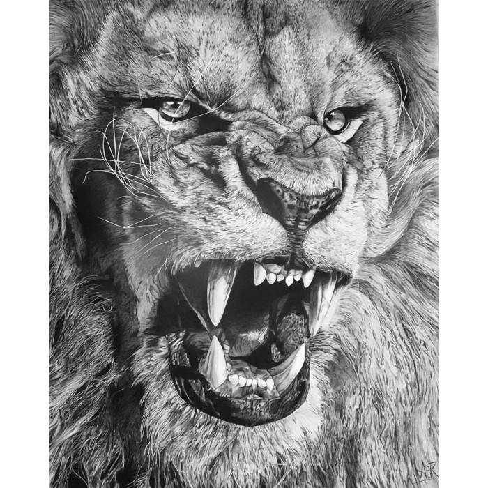 Le Lion Le Lion