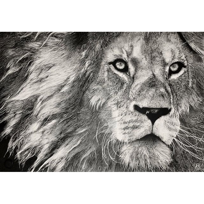 Le Lion Le Lion