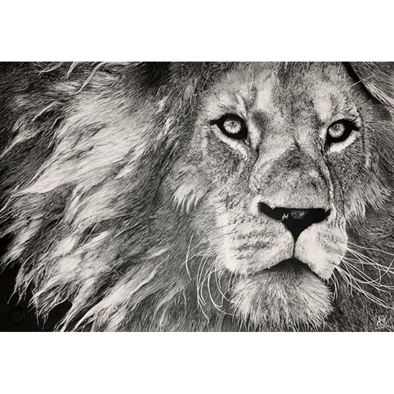 Alexis Raoult Oeuvres A Vendre Et Biographie Animaux Dessin Crayon