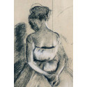 The Ballerina  (after Degas)