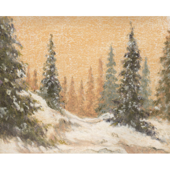 Snow landscape