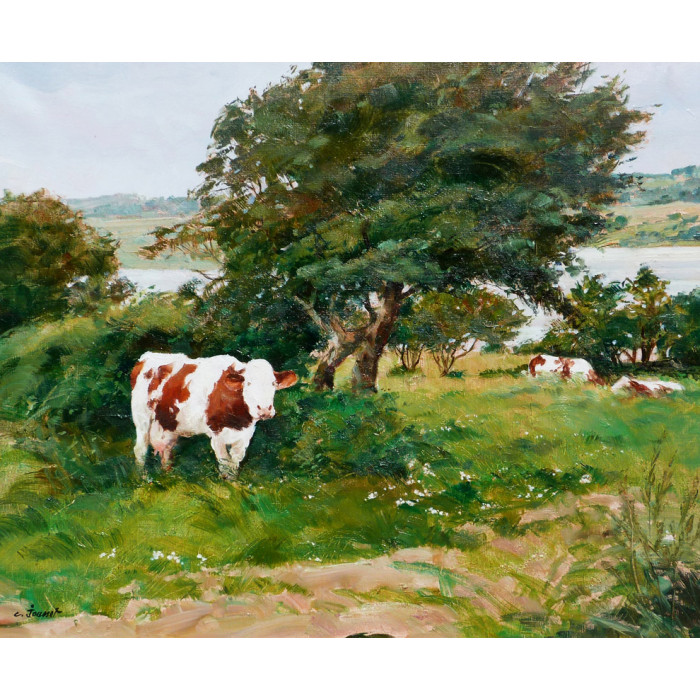 Les Vaches