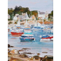 Boats in Bretagne near Tregastel