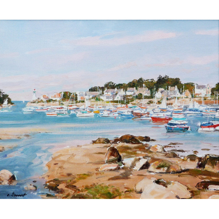 Boats in Bretagne near Tregastel