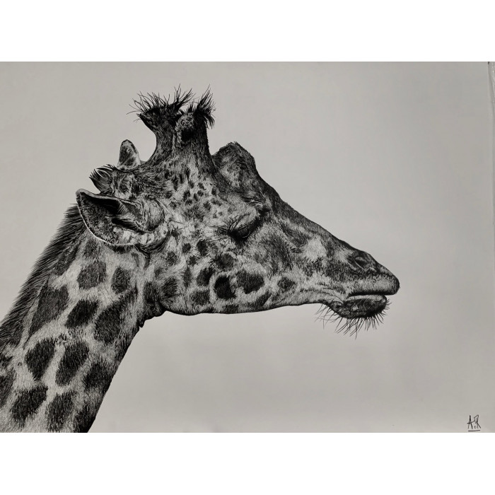La Girafe La Girafe