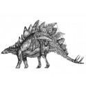 Stegosaurus mechanimal