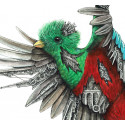 Quetzal mechanimal