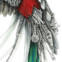 Quetzal mechanimal Ardif YAM