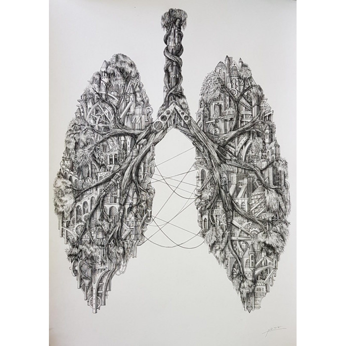 Lung city hybrid ardif yam