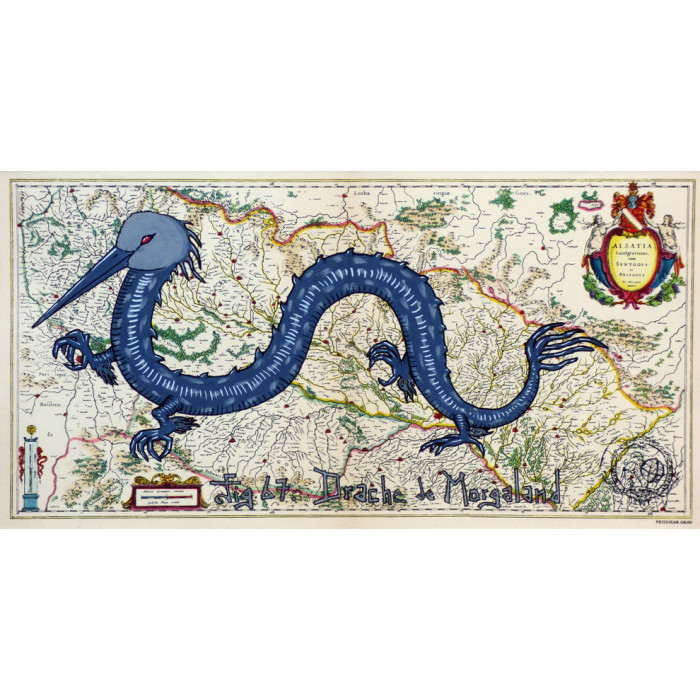 Drache de Morgaland Drache de Morgaland