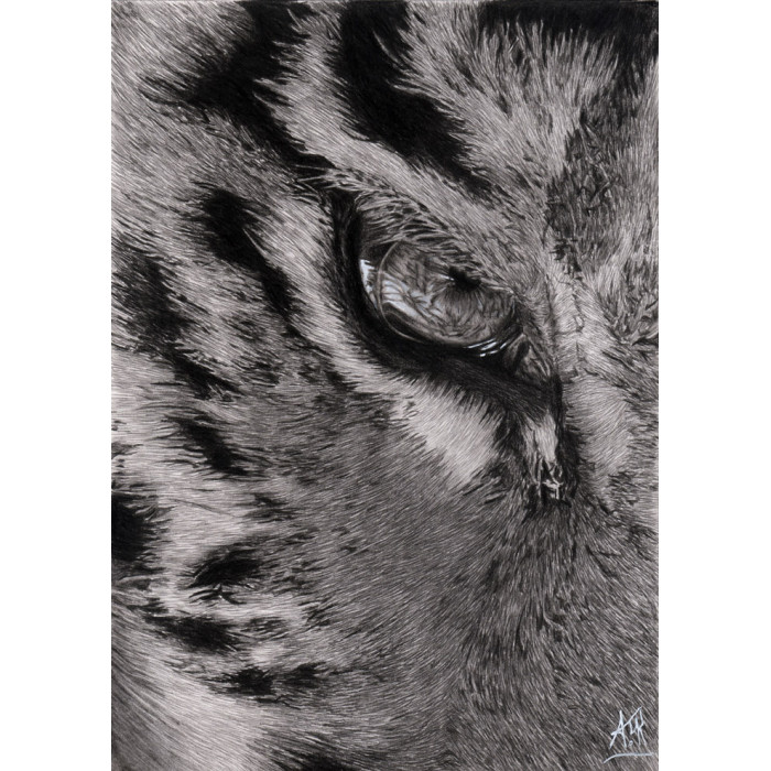 Alexis Raoult Achat D Oeuvres Et Biographie Contemporain Animaux Alexis Raoult Achat D Oeuvres Et Biographie Contemporain Animaux