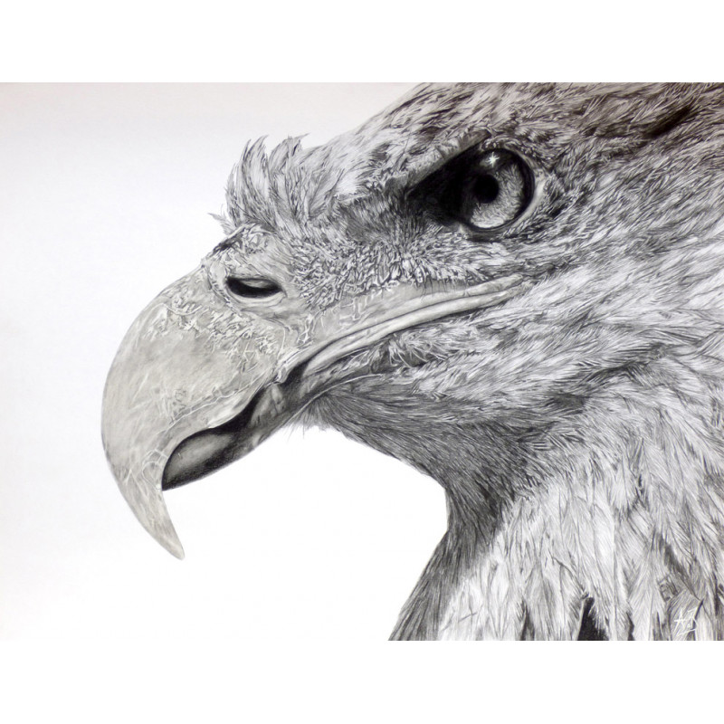 Alexis Raoult Achat D Oeuvres Et Biographie Dessin Animaux Noir Et Blanc ÿam ÿoung Artists Montmartre Alexis Raoult Achat D Oeuvres Et Biographie Dessin Animaux Noir Et Blanc ÿam ÿoung Artists Montmartre