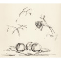 Alberto Giacometti - Fleurs - Lithographie originale