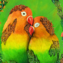 Lovebirds Mechanimal
