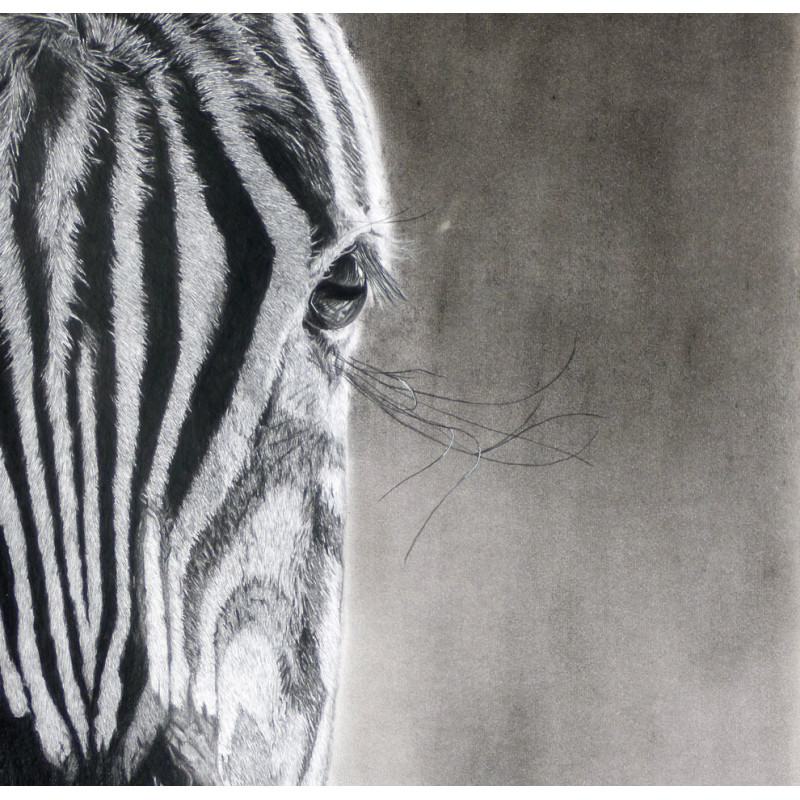 Alexis Raoult Buy Art And Biography Contemporary Art Animal Drawing Alexis Raoult Buy Art And Biography Contemporary Art Animal Drawing