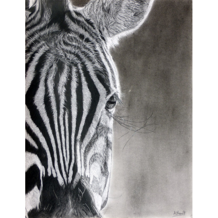 Alexis Raoult Buy Art And Biography Contemporary Art Animal Drawing