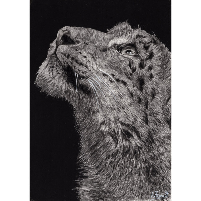 Alexis Raoult Achat D Oeuvres Et Biographie Contemporain Animaux