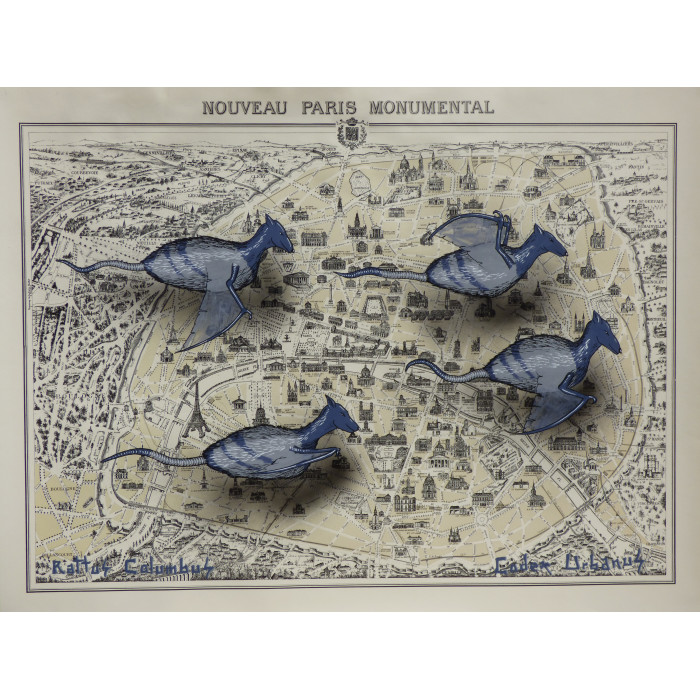 Rattus Colombus Rattus Colombus