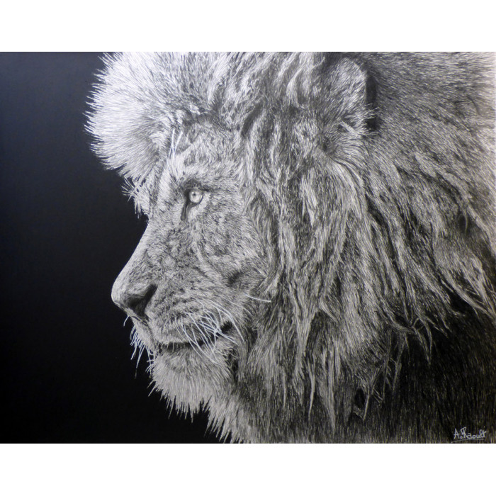 Drawing - The Lion Drawing - The Lion