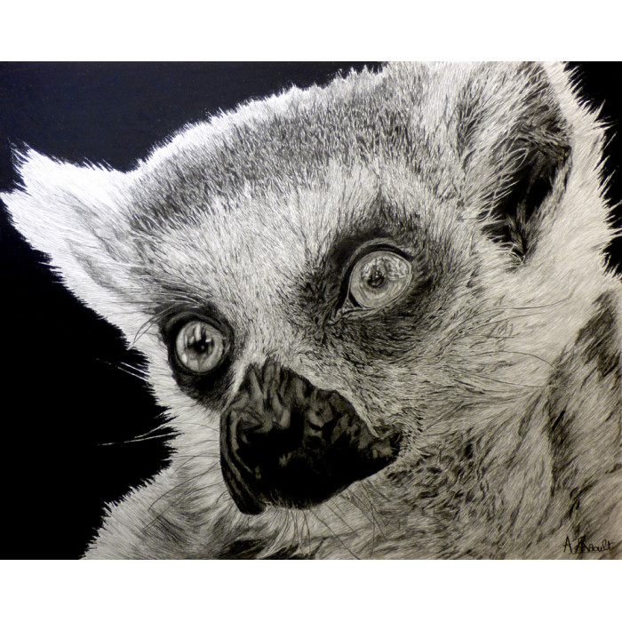 Drawing - The Lemur Drawing - The Lemur