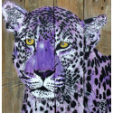 Mosko - The Purple Panther