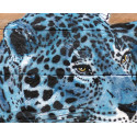 Mosko - The Blue Jaguar