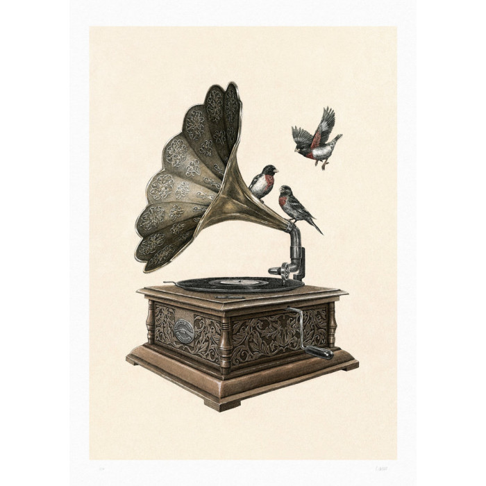 Steeven Salvat - Phonograph