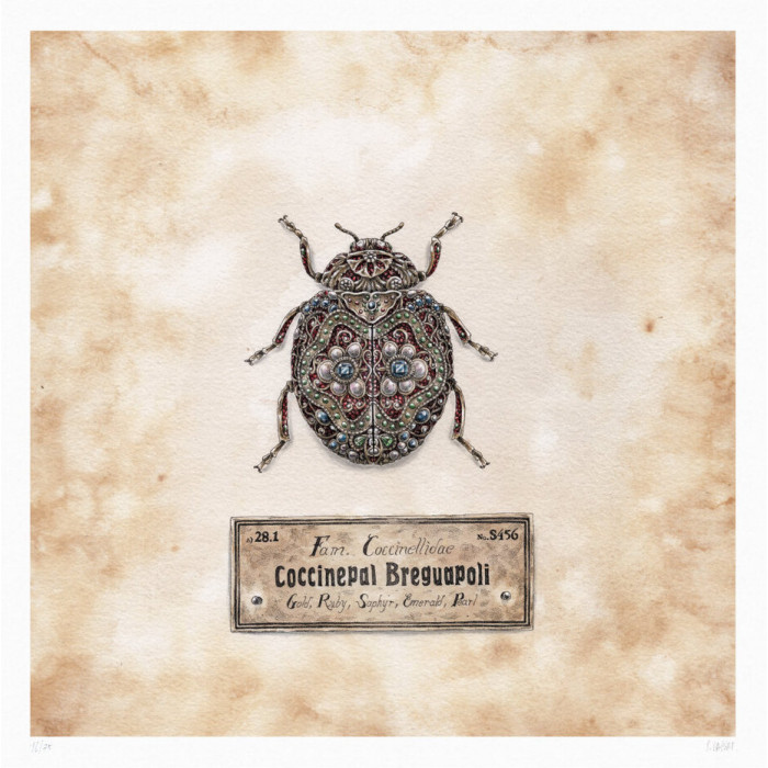 Steeven Salvat - Coccinepal Breguapoli