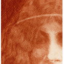 Henri Guérard - Head of a Young Girl 1897