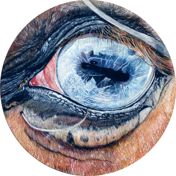 Eye by V. - Animal n°3 - Just Eye by V. - Animal n°3 - Just