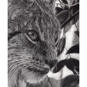 Drawing - Einar, le Lynx, Ménagerie